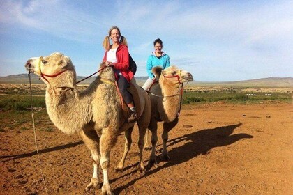 1 Day Semi-Gobi Tour Including Lunch And Free Camel or Horseback Ride