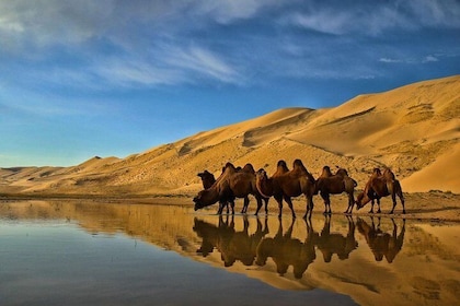 Overnight Semi-Gobi Tour with Nomadic HomeStay