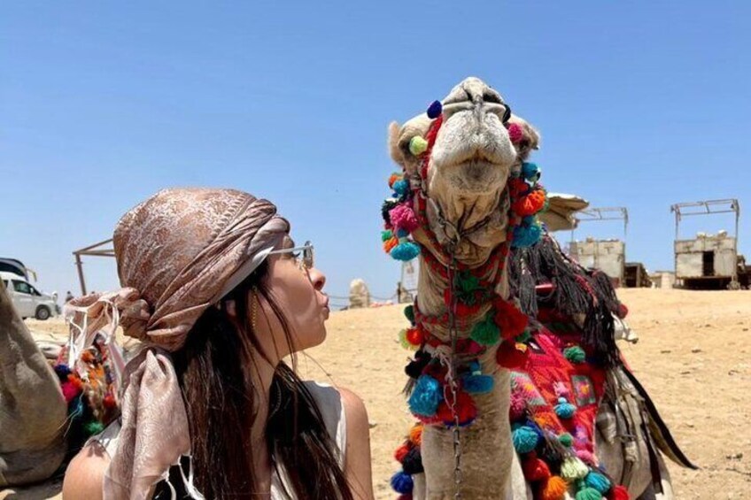4 Hours private Giza Pyramids ,Sphinx ,lunch and camel ride from Cairo or Giza