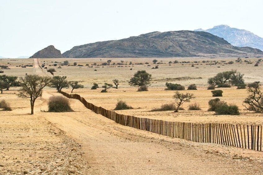 Border fence.