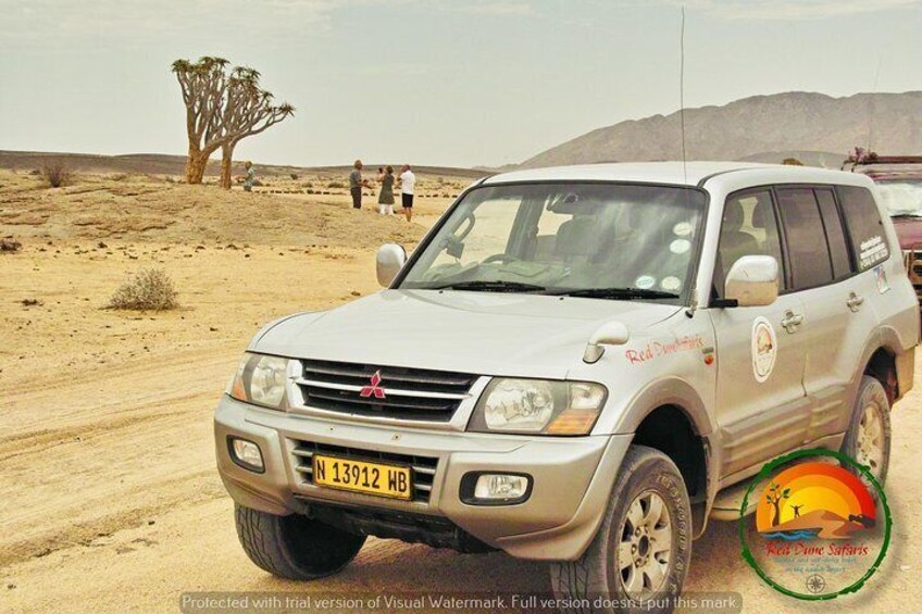 Wildlife and Landscape Tour- full-day (7hours) from Walvis Bay