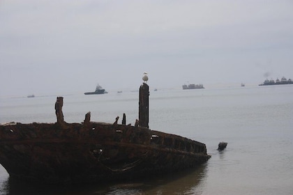 Pelican Point Peninsula Tour - visite de la colonie de phoques