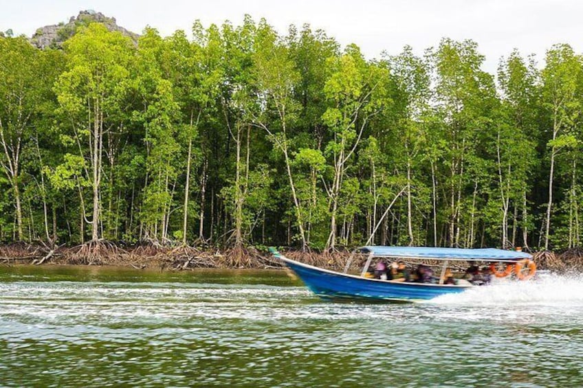 Langkawi Mangrove Kilim UNESCO Geopark and Cave Exploring Tour