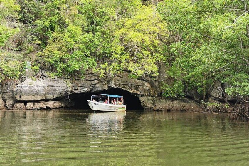 Cruise through the mangroves on the Kilim River as you learn about this delicately balanced ecosystem
