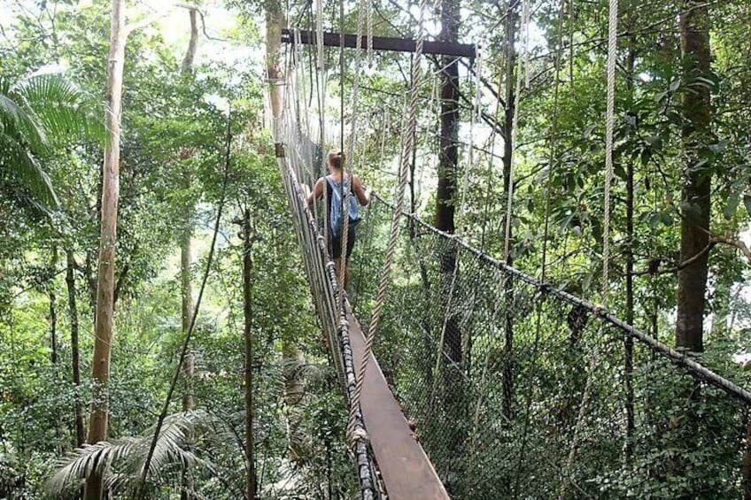 Shared Transfer : Cameron Highland to Taman Negara via Kuala Tembeling Jetty