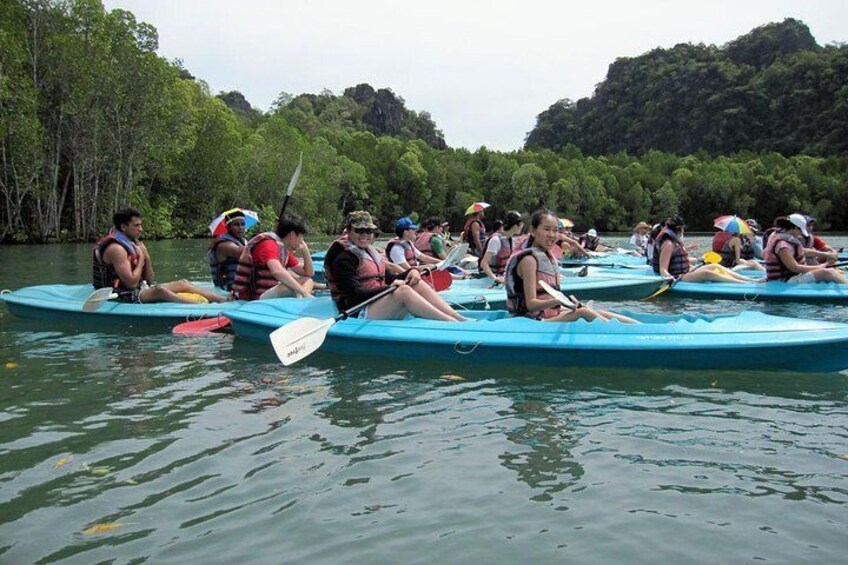 Langkawi Adventure Tour : Kubang Badak Mangrove Kayaking