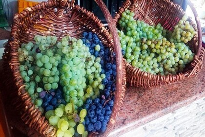 Herzegovina Wine and Food Experience