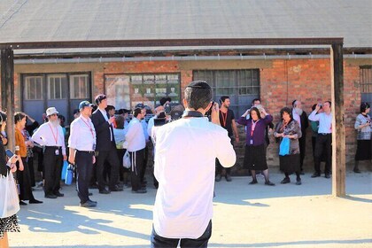 Auschwitz Birkenau: Live-guidet tur med transport og hotellhenting