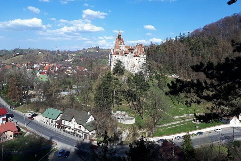 Bran Castle from the Hill