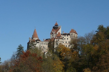 Fortified Churches - Bran Castle - Rasnov Fortress Tour from Brasov
