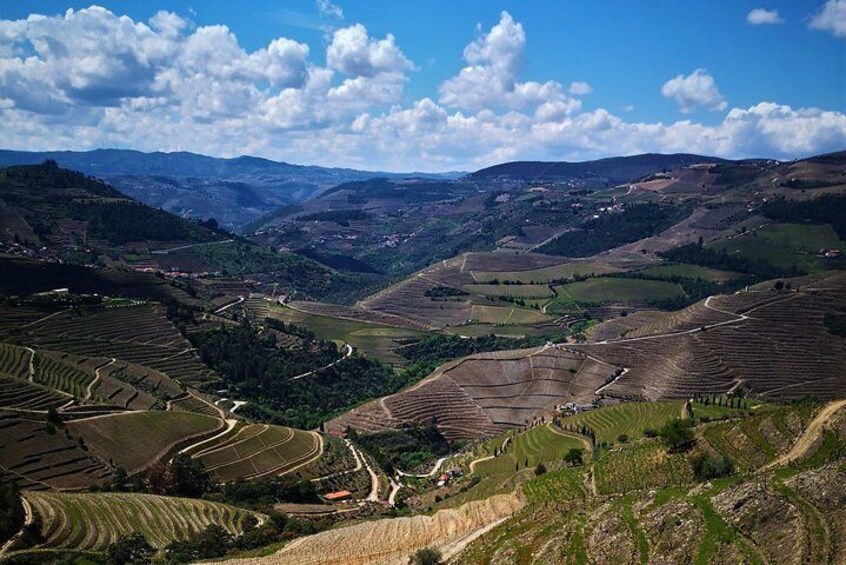 Douro Valley