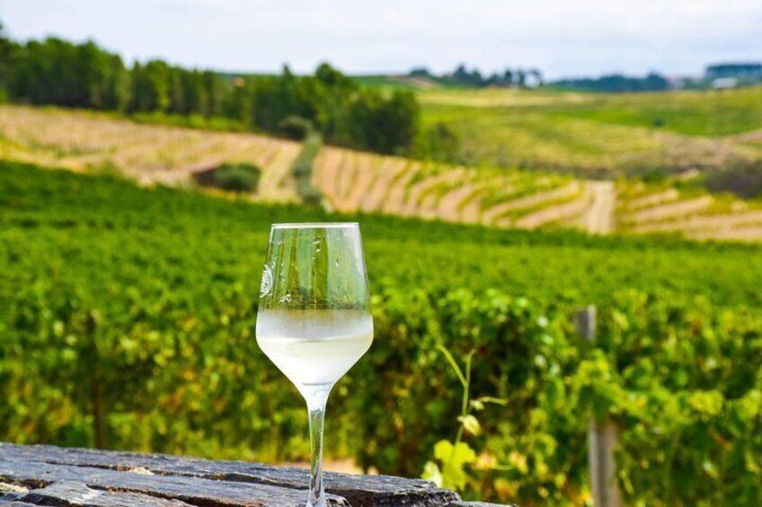 Refreshing White Wine