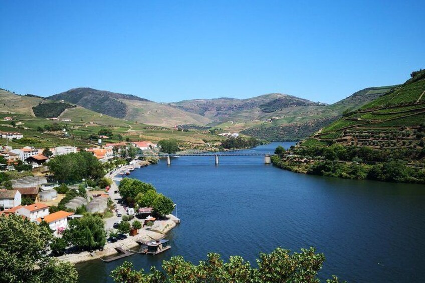 Pinhão