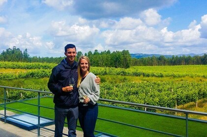 Private Vinho Verde Tour: Visit 2 Wineries with Wine Tastings & Lunch