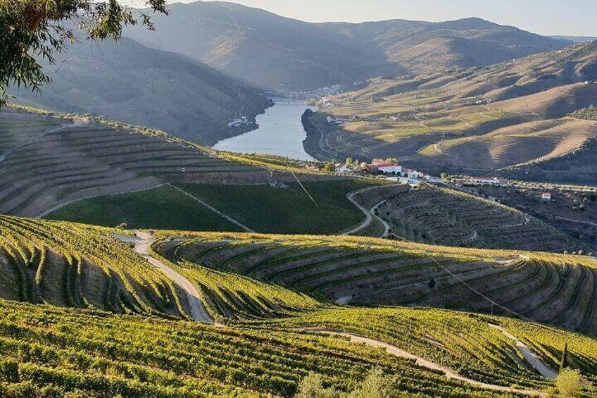 Beautiful landscapes of Douro Valley
