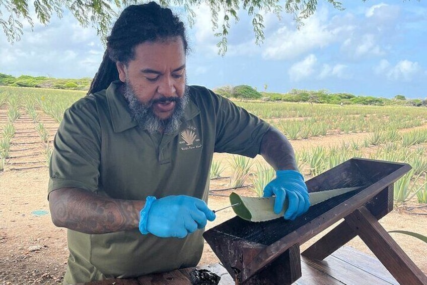 Aruba Countryside Tour