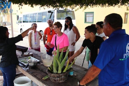 Tour privato per famiglie di Aruba