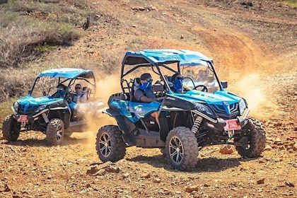 Aruba Northcoast UTV Afternoon Tour