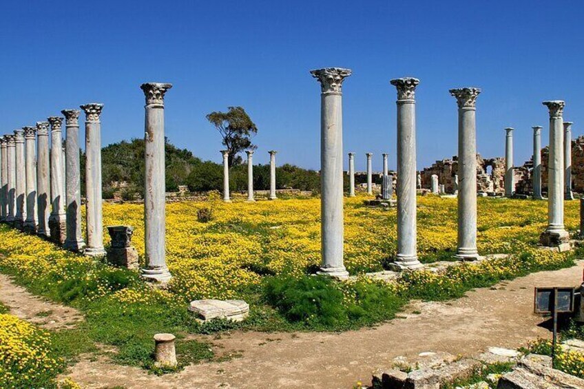 Famagusta and Salamis Excursion from Ayia Napa, Protaras, Larnaca