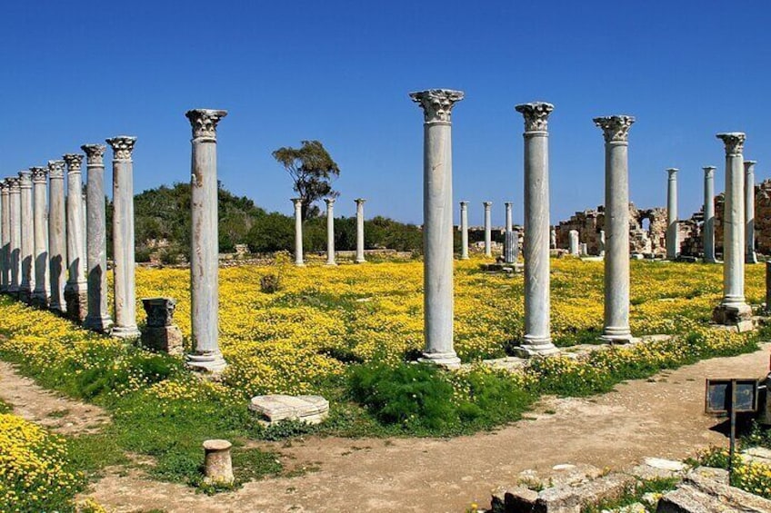 Famagusta and Salamis Excursion from Ayia Napa, Protaras, Larnaca