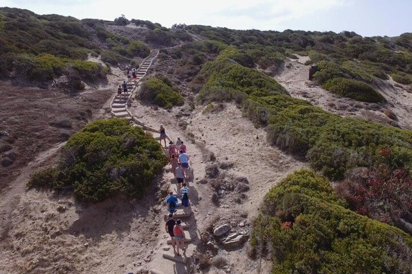 Jeep Safari Akamas Expedition from Limassol