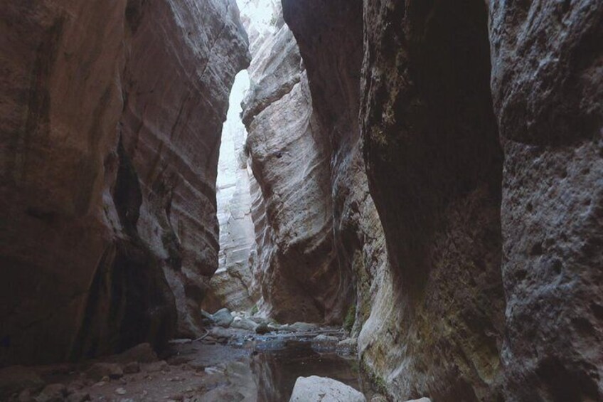 Jeep Safari Akamas Expedition from Limassol