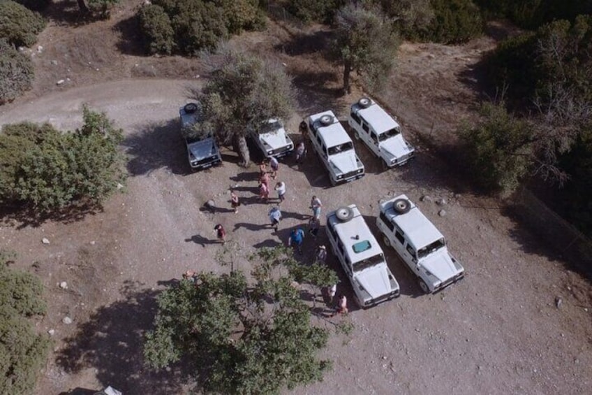 Jeep Safari Akamas Expedition from Limassol