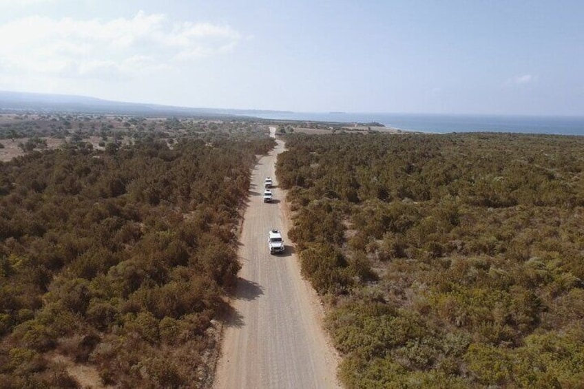 Jeep Safari Akamas Expedition from Limassol