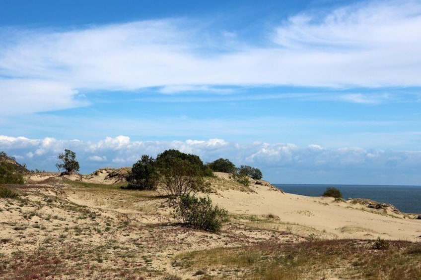 Curonian Spit