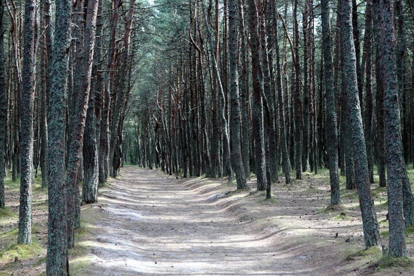 Curonian Spit