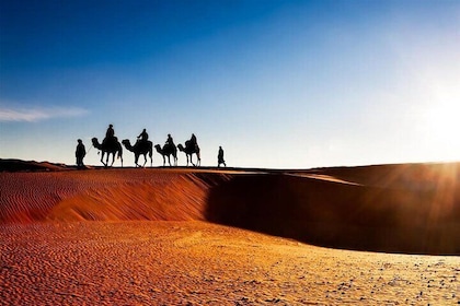 2-Days desert Zagora & Kasbah Ait Benhaddou Tour.
