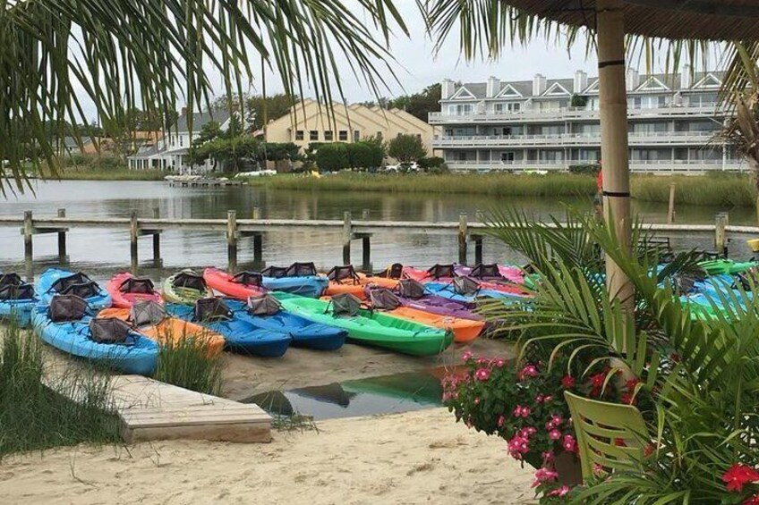 Shallow Rehoboth Bay is great for beginners and families.