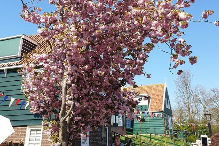 Giethoorn in Spring.