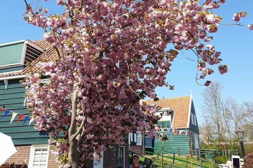 Giethoorn in Spring.