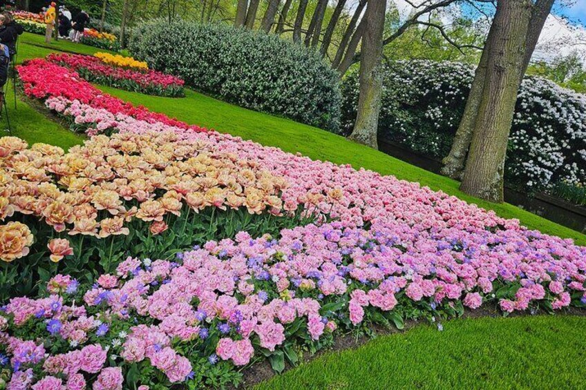 Keukenhof Gardens and Delft Guided Tour from Amsterdam