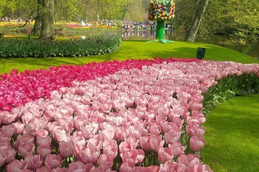 Keukenhof, Tulips Fields & Delft Day Tour (Small Group 8 pax max)