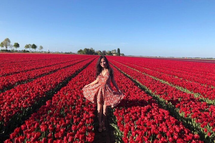 Keukenhof, Tulip Fields and Delft Day Tour from Amsterdam
