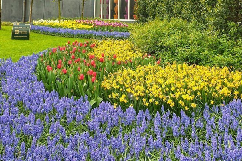 Keukenhof Gardens and Delft Guided Tour from Amsterdam