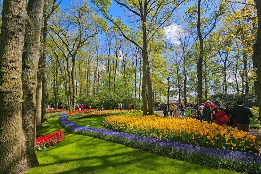 Keukenhof Gardens and Delft Guided Tour from Amsterdam