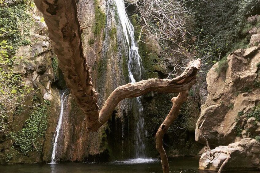 Richti Waterfall, OliveTasting, NorthCoast, History, Azoria,