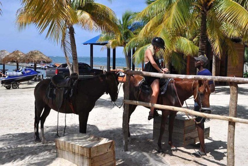 Horseback Riding From Bayahibe