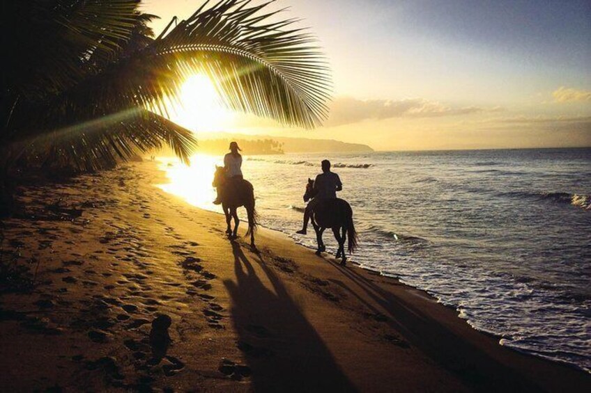 horseback riding on the beach playa del carmen