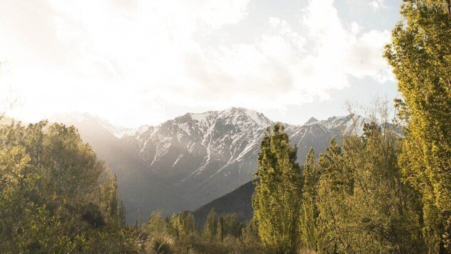 Maipu or Lujan de Cuyo Wineries Visiting Mendoza by Private Sedan