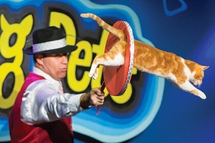 Amazing Pets Show in Branson
