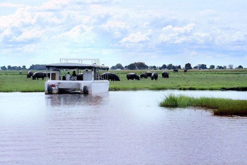 Sunset Cruise on Chobe River with Hotel Pickup from Kasane