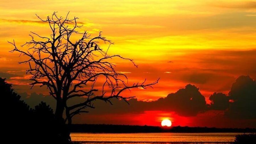 Sunset Cruise on Chobe River with Hotel Pickup from Kasane