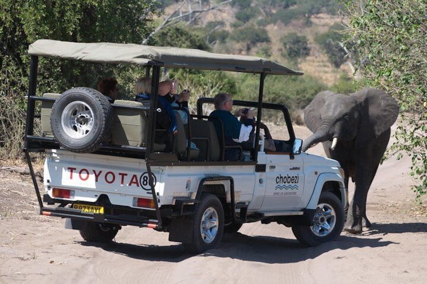 Chobe National Park Game Drive, Botswana