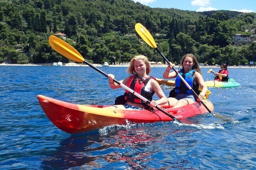 Half-Day Split Sea Kayak Adventure