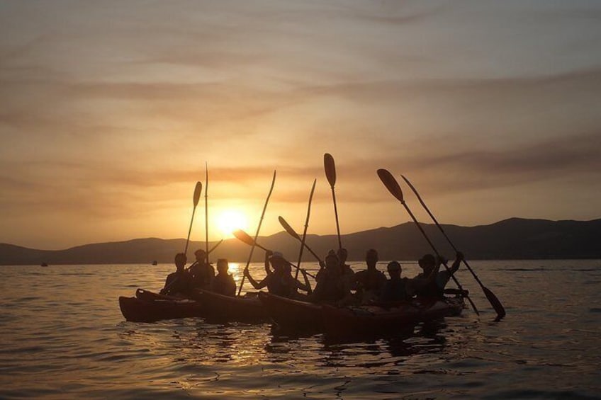 Half-Day Split Sea Kayak Adventure