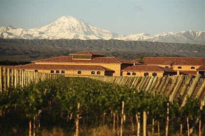 Recorrido vinícola con almuerzo desde Mendoza